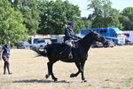 WJ6_8274