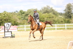 SBM_007871