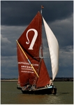 SB Greta (2)