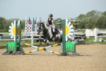 SBM_011510