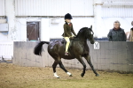 Class 19-20 - First Timers Walk & Trot - New Combinaion portfolio