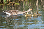 20140503-3K8A0906