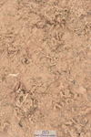231011A-114018-00266
