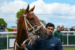 120526-Race 1-Lovers Leap-7265