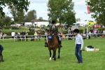 SBM_46855