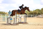 SBM_003654