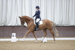 SBM_006462