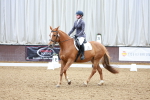 SBM_000976