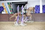 SBM_000982