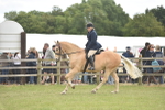 SBM_15936