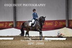 NOVICE TEST 6 portfolio