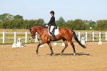 SBM_010564