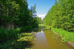 Viikki-Vanhankaupunginlahti Nature Reserve, Helsinki, Finland