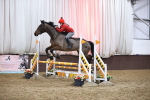 SBM_006216