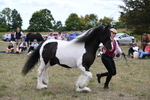 WJ6_5510