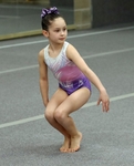 Kendal Gymnastics Club Competition portfolio