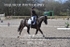 BPP_9753