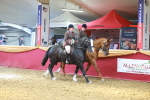 SBM_15011