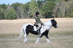 WJ7_6686