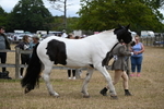 WJ6_8371
