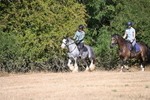 WJ6_7787
