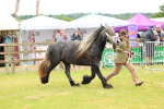 SBM_00639