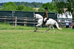 SBM_15387