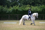 WJ6_3328