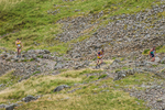 Borrowdale-62
