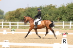 SBM_006181