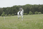 BVHT 140517  NXC -154