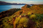 West Australia portfolio