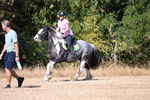 WJ6_8500