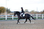 SBM_003336