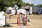 Sunday 23rd Western Counties Arena portfolio