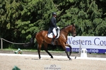 371-JERPOINT_ECLIPSE-Max_Gordon-WEDTrotUp+DR portfolio