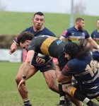 Anselmians Rugby portfolio