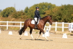 SBM_017901