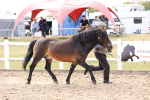 SBM_15070