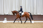 SBM_003264