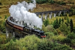 Jacobite Steam Train, Glenfinnan Viaduct _RLP87300b