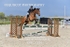 BPP_7251