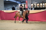 SBM_02085