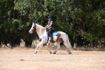 WJ6_9243