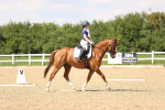 SBM_002080