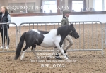 BPP_0762