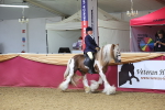 SBM_24514