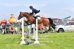 BPP_7184