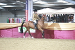 SBM_08190