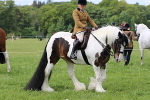 SIAL3229